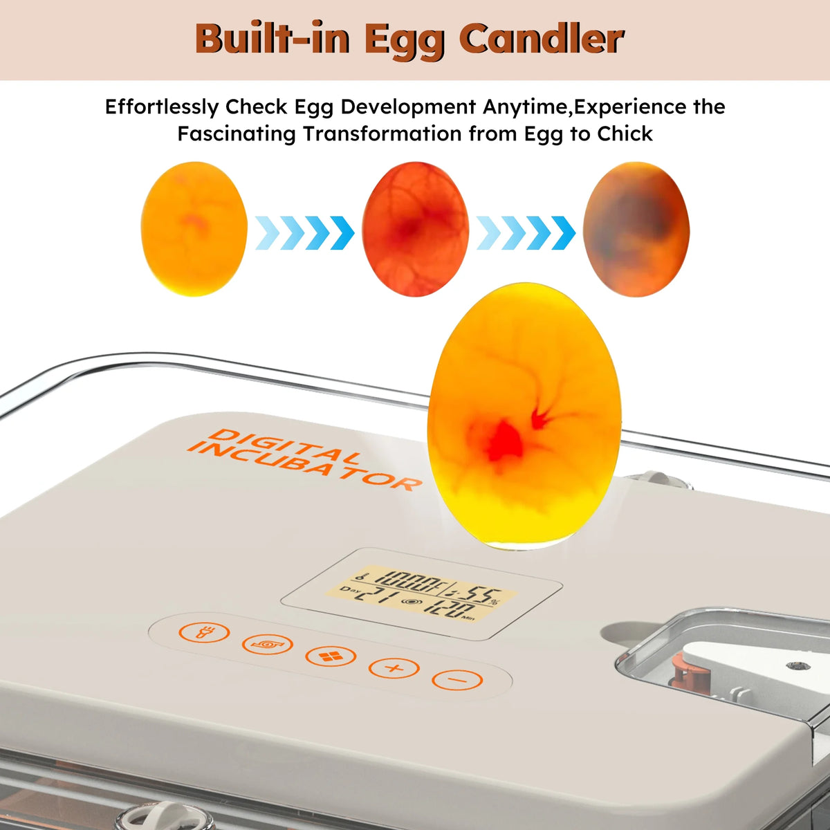 Montary 56 Egg Incubator: Auto Turning, Humidity Control & Water Refill for Chicken/Duck/Goose Eggs w/ Candler