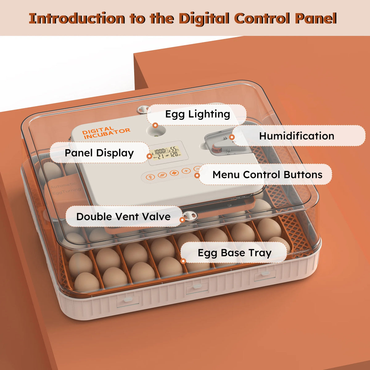 Montary 56 Egg Incubator: Auto Turning, Humidity Control & Water Refill for Chicken/Duck/Goose Eggs w/ Candler