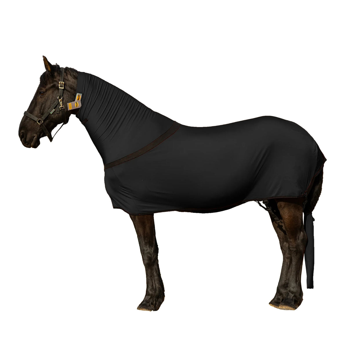 Premium Horse Full Body Slinky - Full Zipper & Faceless - Lycra Material - Available in 11 Colors