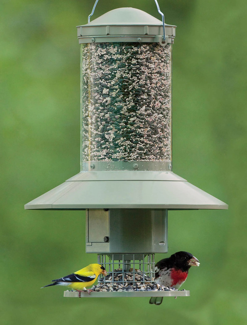 Wingscapes Autofeeder Squirrel-Resistant Bird Feeder with X-Large Capacity and Timer Control Settings, Green