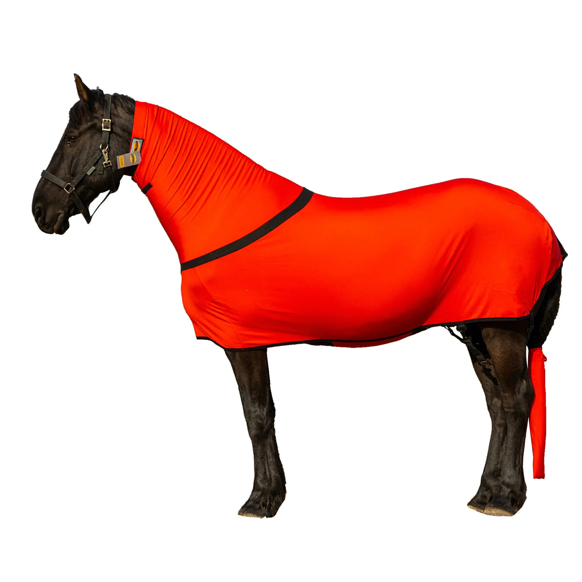 Premium Horse Full Body Slinky - Full Zipper & Faceless - Lycra Material - Available in 11 Colors