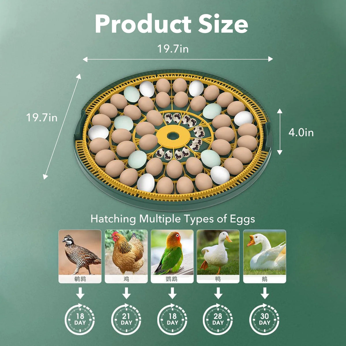 BN-LINK 52 Egg Incubator with Automatic Egg Turning and Temperature Control, Smart Egg Incubator with Humidity Display, LED Candler & Sink, Hatching Chicken Duck Quail Bird
