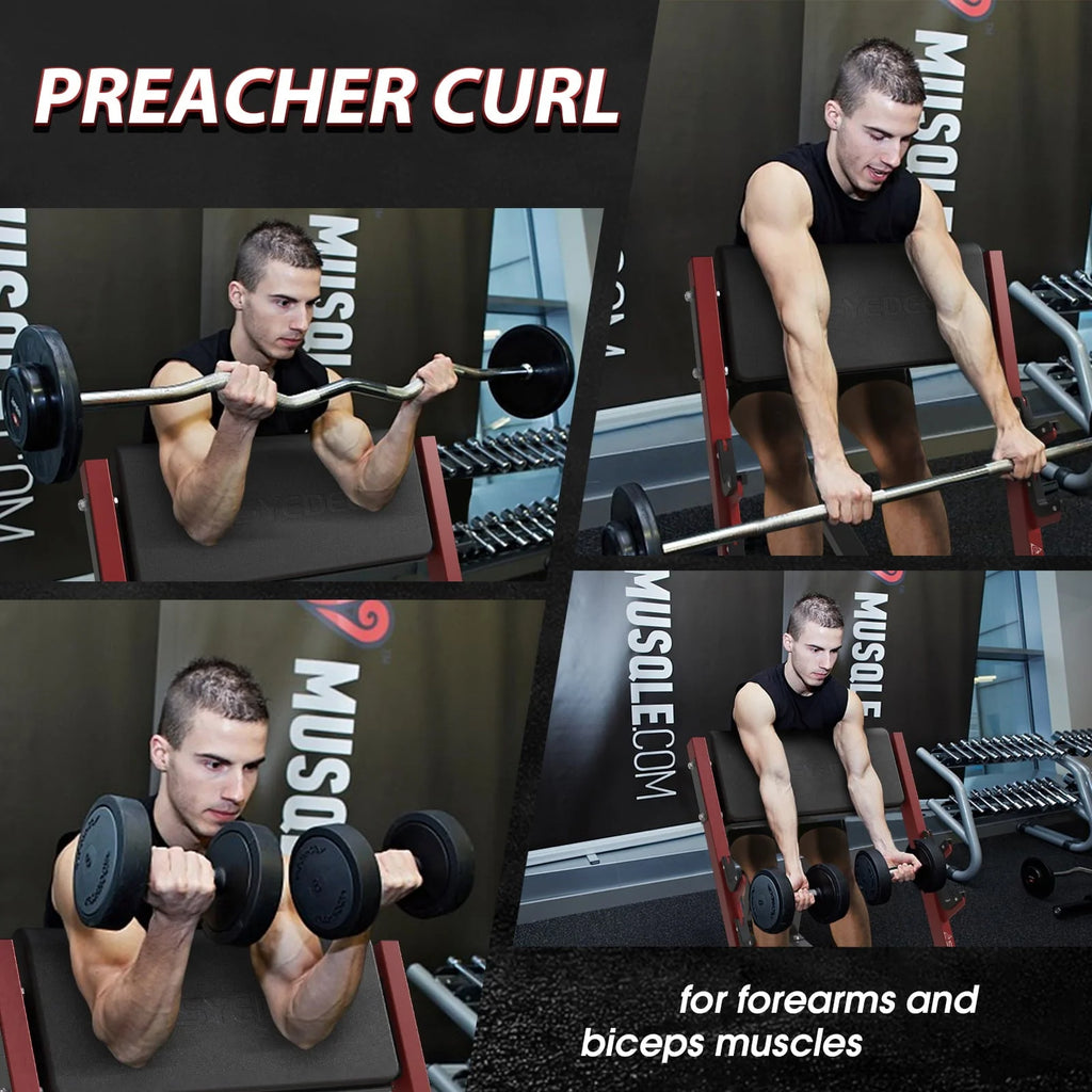 syedee Preacher Curl Bench, Seated Arm Isolated Barbell Dumbbell Bicep Station, Bicep Curl Machine with 2 Bar Holders for Home Gym (Red)