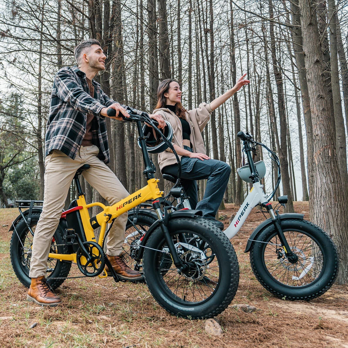 Hipeak 750W Electric Bike for Adults Folding Ebike 48V 15Ah 20" x 4.0" Fat Tire Electric Bike with Removable Battery, Foldable Adults Electric Bicycles 25MPH Front Suspension