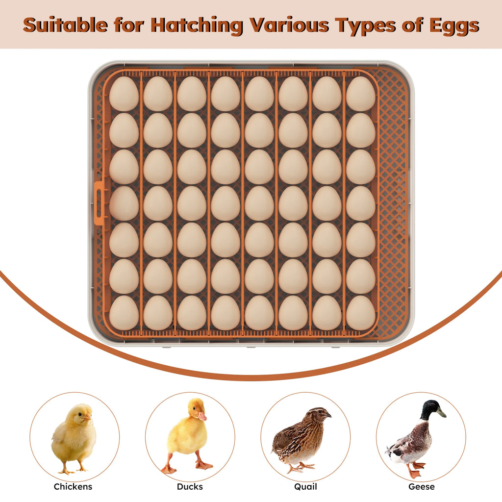 Montary 56 Egg Incubator: Auto Turning, Humidity Control & Water Refill for Chicken/Duck/Goose Eggs w/ Candler