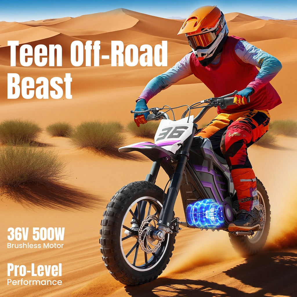 Electric Dirt Bike for Teens Adults, 500W Electric-Motorcycle Mountain Off-Road EBike
