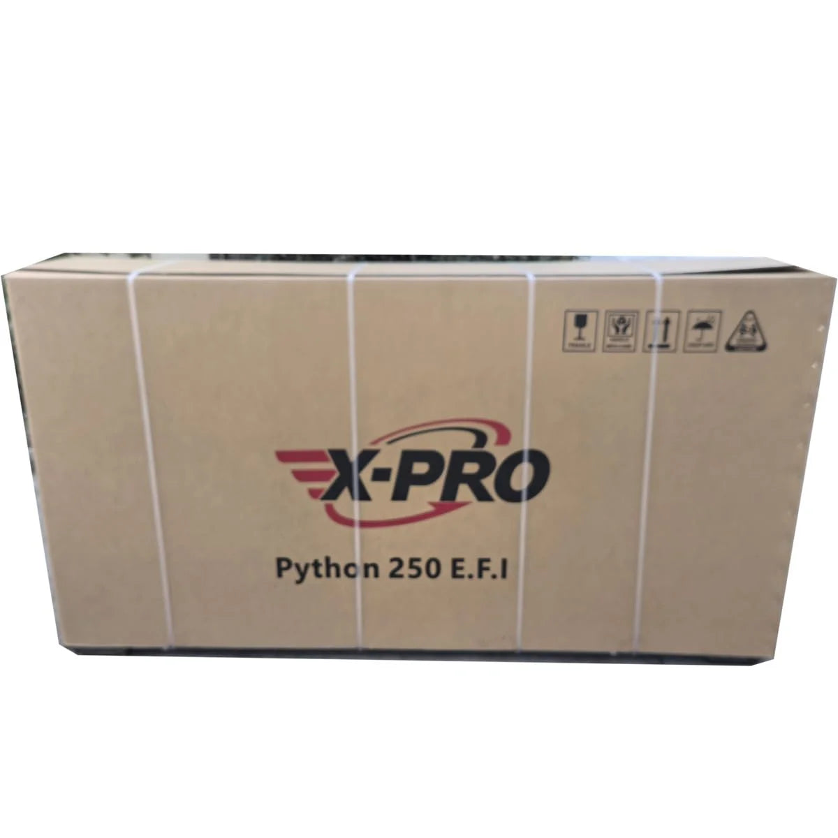 X-Pro Python 250 Electronic Fuel Injection Gas Motorcycle with Manual Transmission, Electric Start! 17" Wheels! Assembled In Crate!