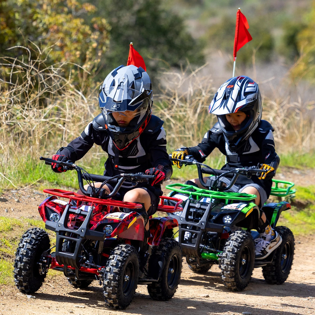 Aoemoe 500W 36V Battery-Powered Ride-On Off-Road 4-Wheeler 15 Mile Range, Flame