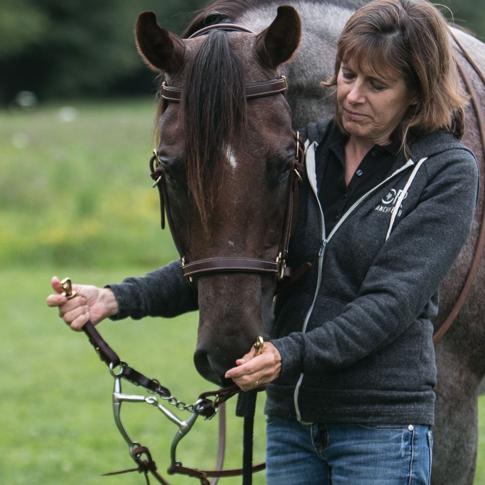 Billy Royal Deluxe Trail Halter for Horses Bridle Combo | Color Dark Oil