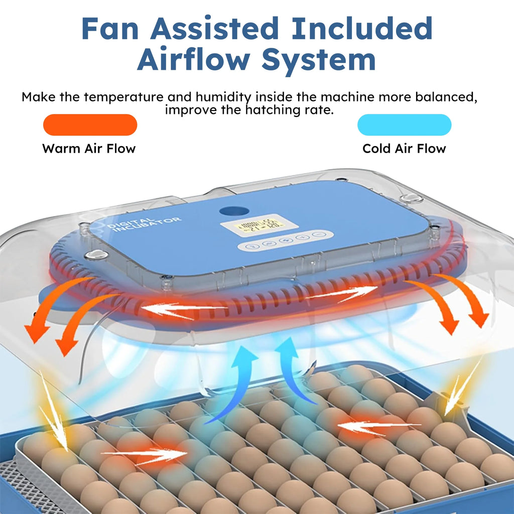 Montary 56 Egg Incubator: Auto Turning, Humidity Control & Water Refill for Chicken/Duck/Goose Eggs w/ Candler