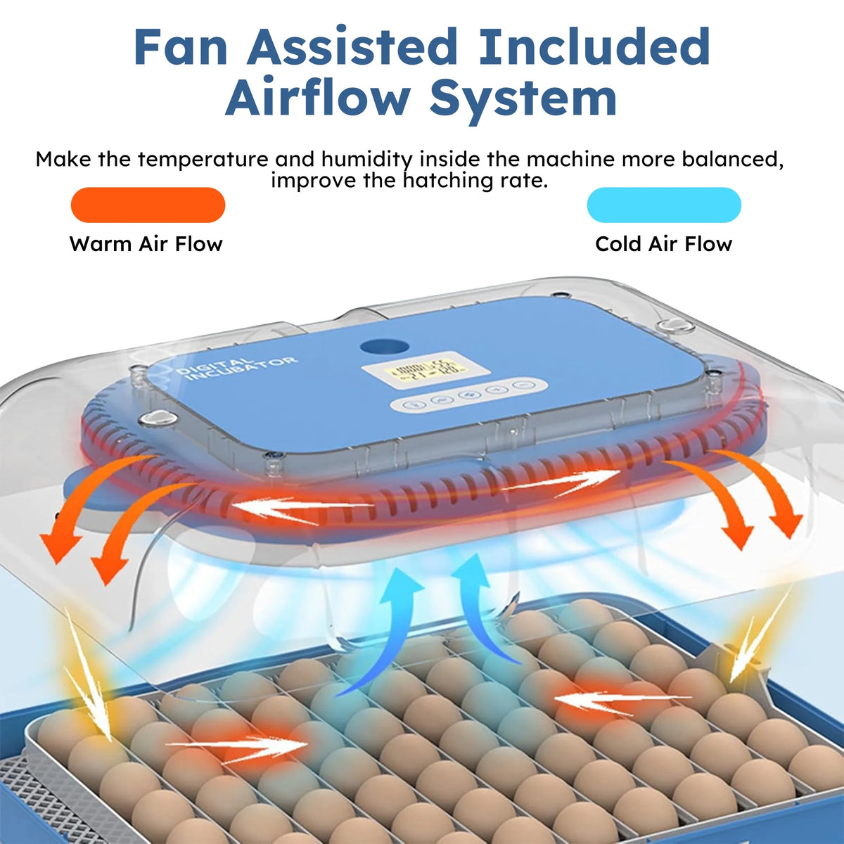 Montary 56 Egg Incubator: Auto Turning, Humidity Control & Water Refill for Chicken/Duck/Goose Eggs w/ Candler