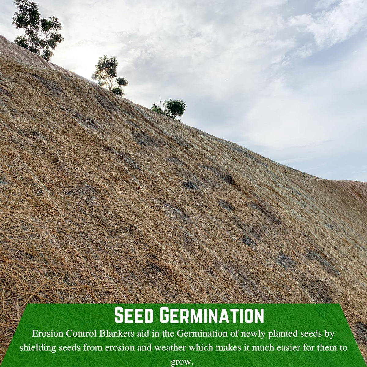 100% Biodegradable Erosion Control Blanket - Straw/Coconut Erosion Control Blanket, Straw Garden and Landscape Cover, Erosion Control Blanket, Straw Blanket, Erosion Control (2' x 112.5')