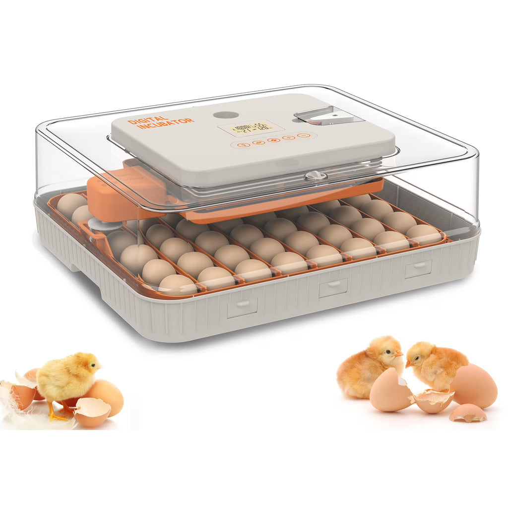 Montary 56 Egg Incubator: Auto Turning, Humidity Control & Water Refill for Chicken/Duck/Goose Eggs w/ Candler