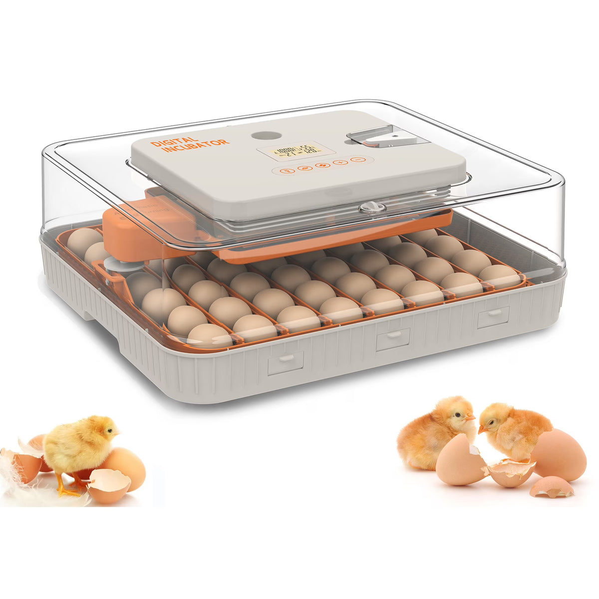 Montary 56 Egg Incubator: Auto Turning, Humidity Control & Water Refill for Chicken/Duck/Goose Eggs w/ Candler