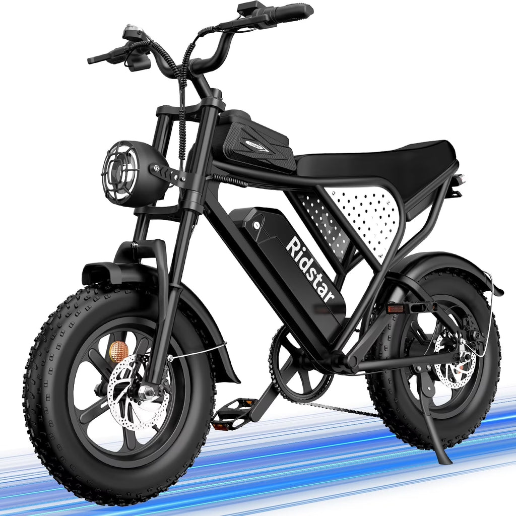 1500W MTB Electric Bicycle 48V 20Ah Removable Battery E-Bike Electric Bike for Adults 20" Fat Tire Electric Motorcycle, Shimano 7 speed Full Suspension Mountain Bike UL2849