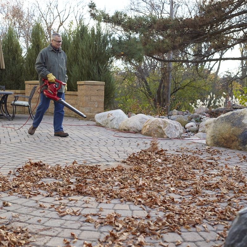 Toro Ultra Electric Handheld Leaf Blower/Vacuum