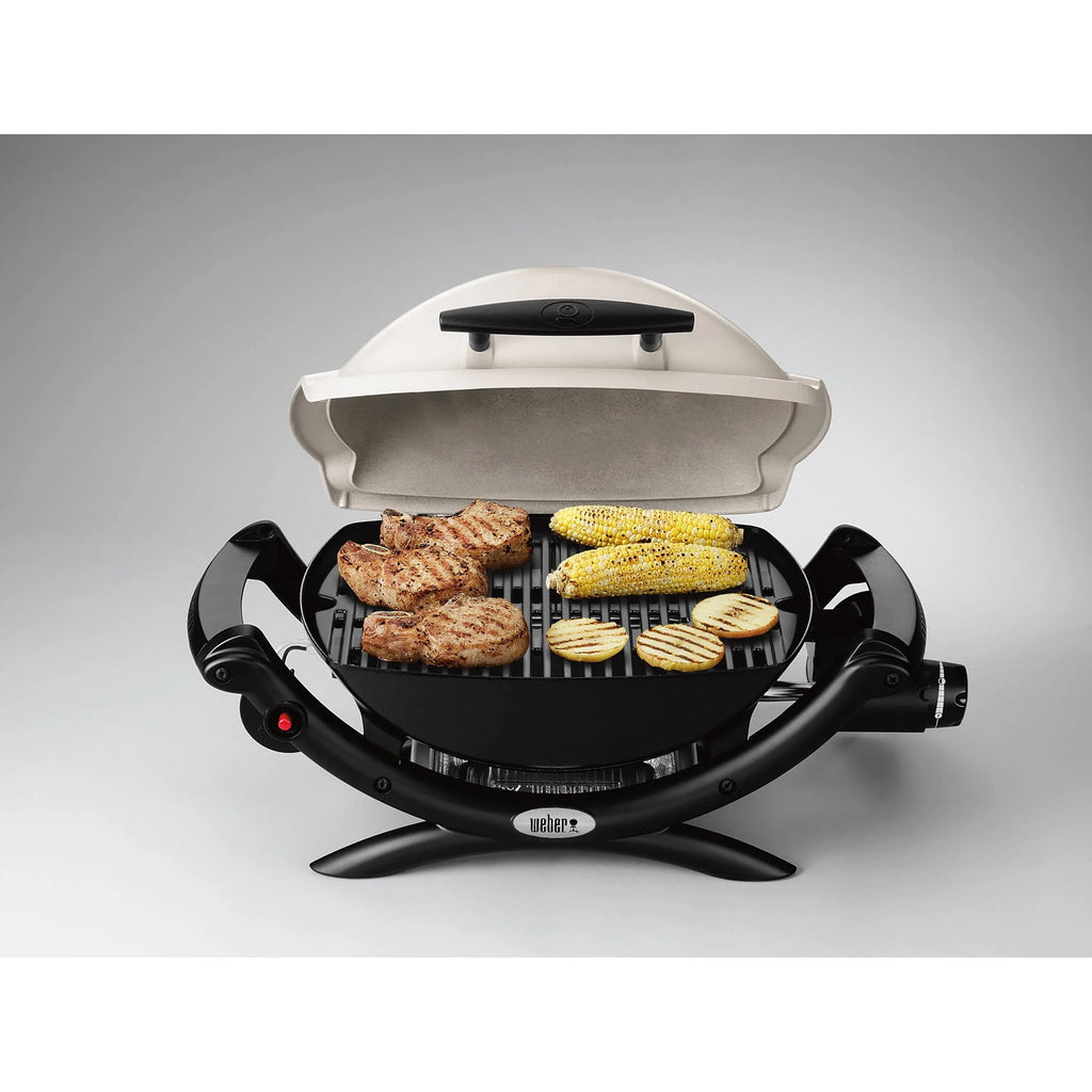 Q 1000 1-Burner Portable Gas Grill, Titanium