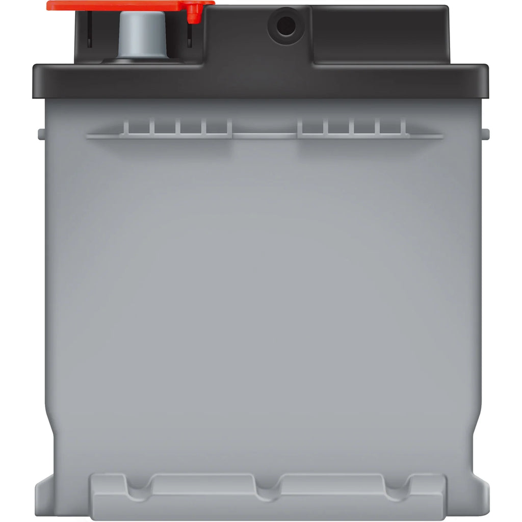 EverStart Platinum AGM Automotive Battery, Group Size H8 / LN5 / 49 12 Volt, 900 CCA