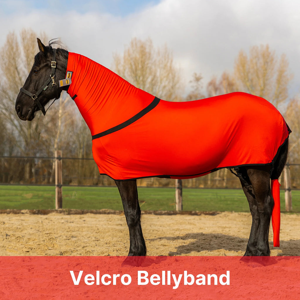 Premium Horse Full Body Slinky - Full Zipper & Faceless - Lycra Material - Available in 11 Colors