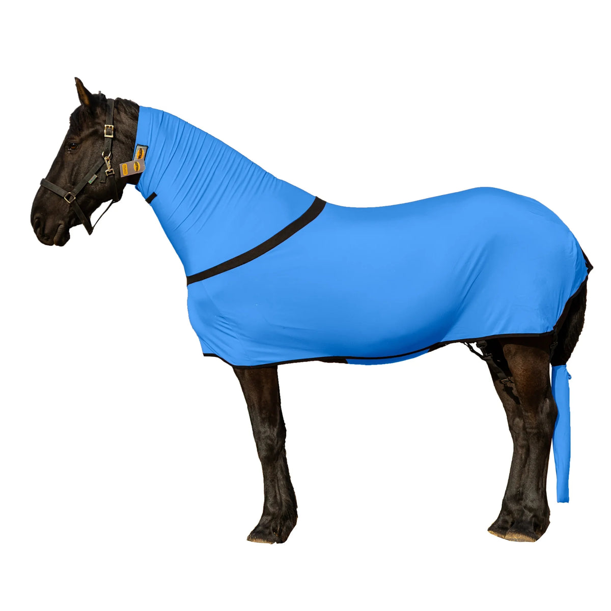 Premium Horse Full Body Slinky - Full Zipper & Faceless - Lycra Material - Available in 11 Colors