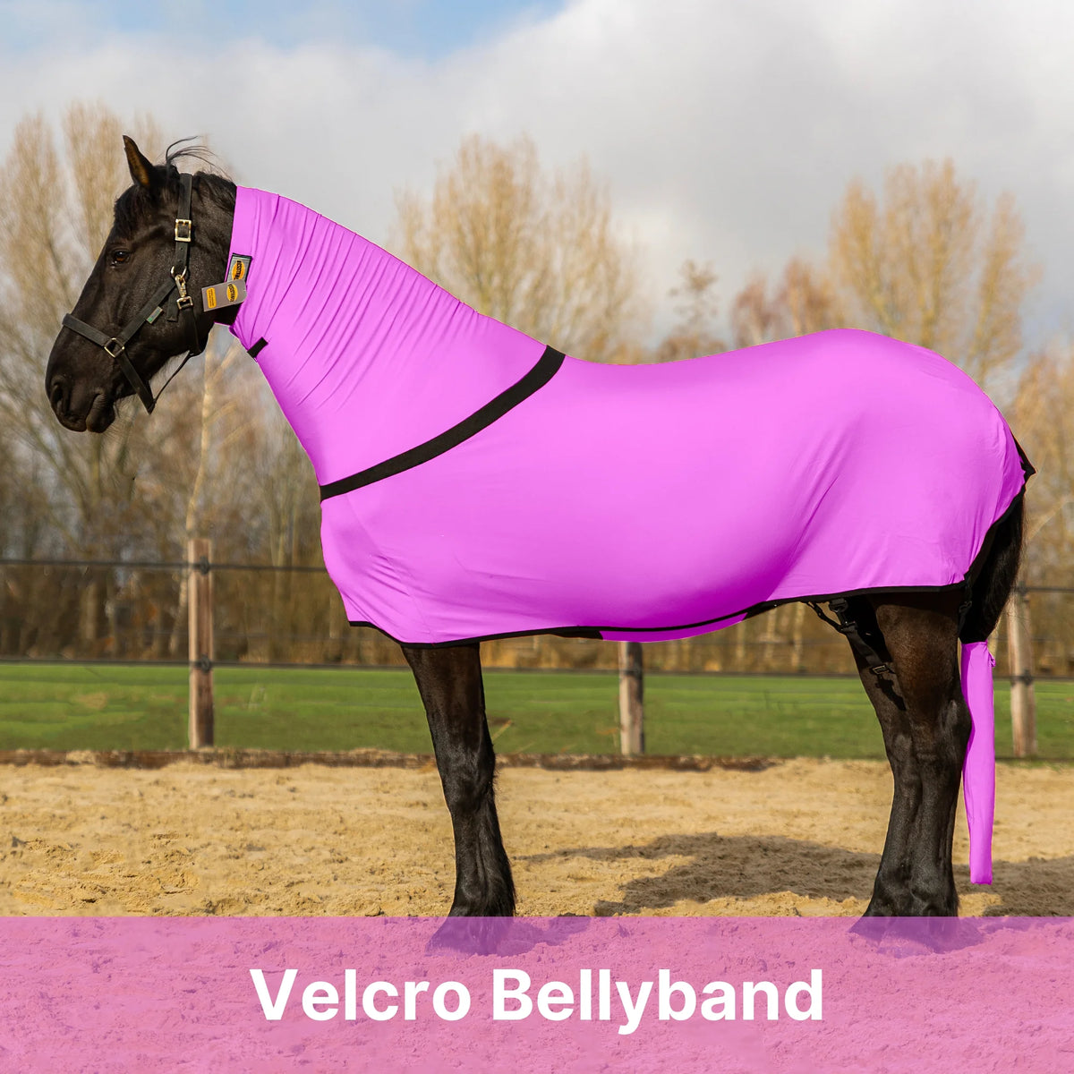 Premium Horse Full Body Slinky - Full Zipper & Faceless - Lycra Material - Available in 11 Colors