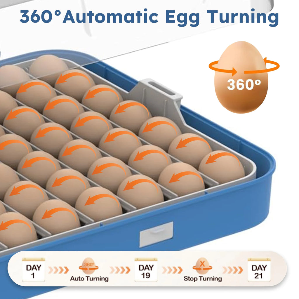 Montary 56 Egg Incubator: Auto Turning, Humidity Control & Water Refill for Chicken/Duck/Goose Eggs w/ Candler