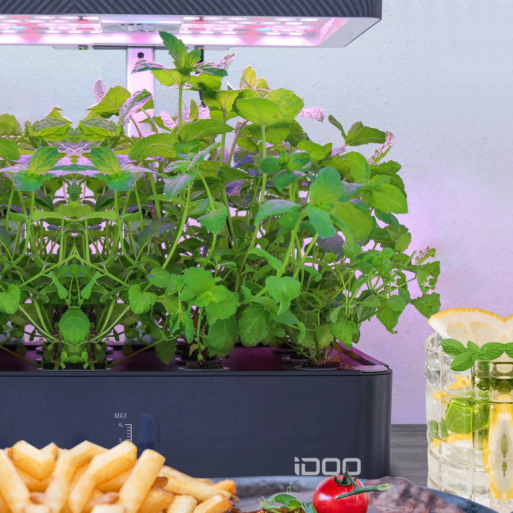 iDOO 12Pods Indoor Herb Garden Kit, Hydroponics Growing System with LED Grow Light