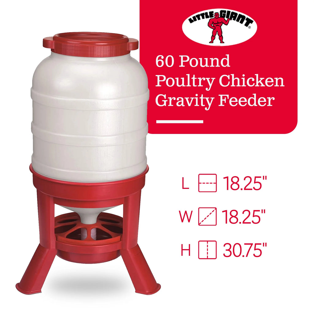 Little Giant Plastic Dome Poultry Feeder 60 Lbs.