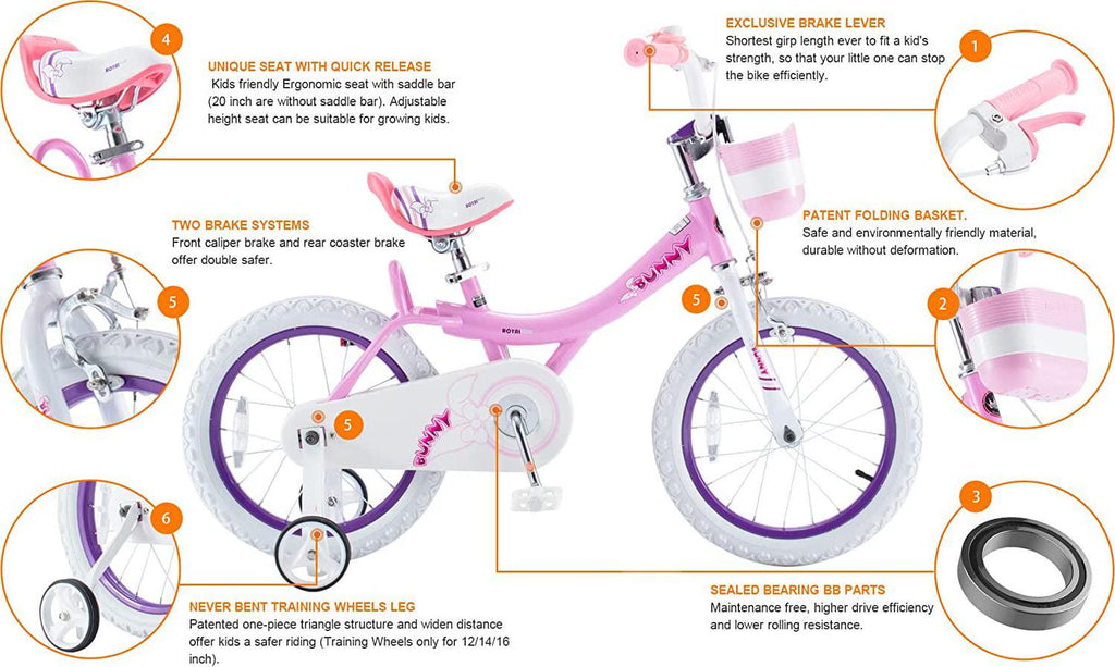 RoyalBaby Bunny 20 inch Girl-s Bicycle Kids Bike for Girls Childrens Bicycle Pink