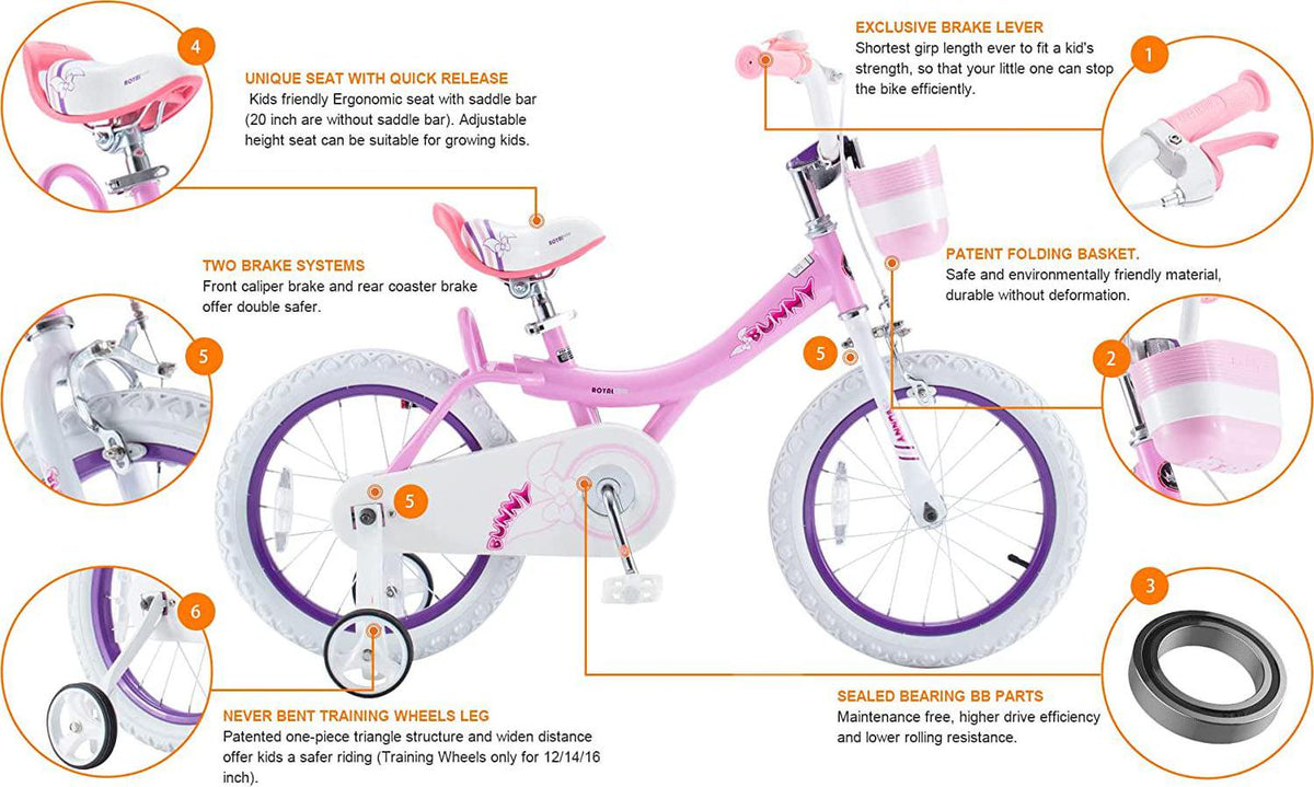RoyalBaby Bunny 20 inch Girl-s Bicycle Kids Bike for Girls Childrens Bicycle Pink