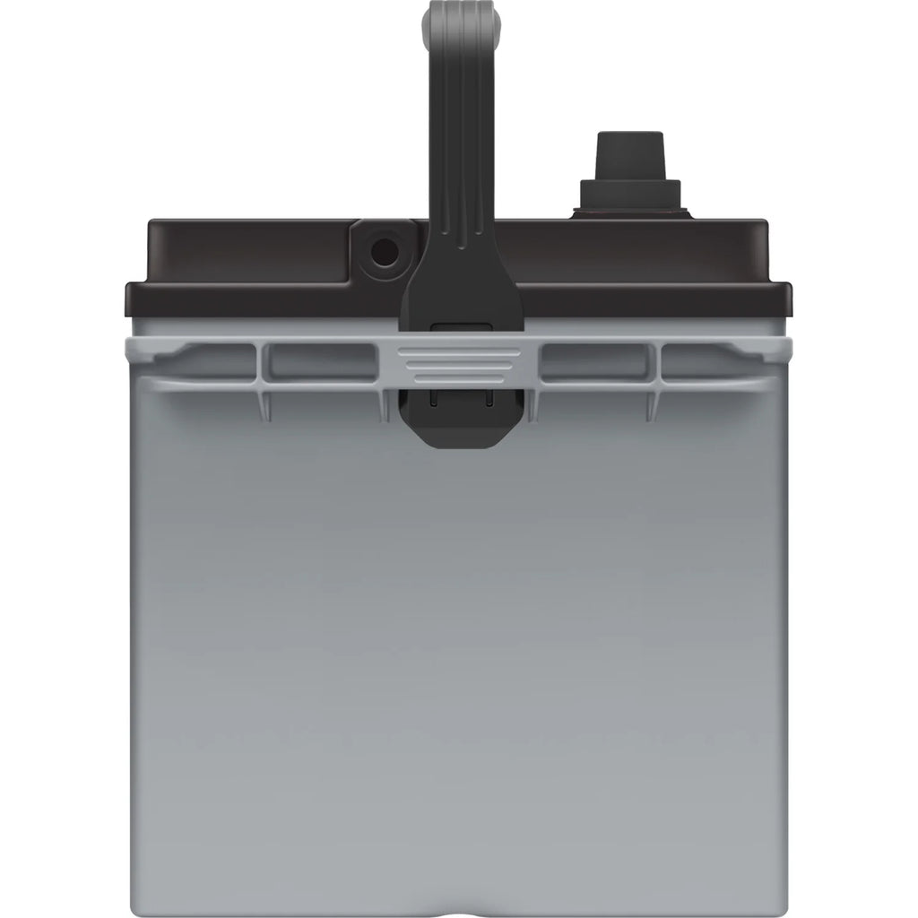 EverStart Platinum BOXED AGM Marine and RV Deep Cycle Battery Group Size 24M, 12 Volt 875 MCA