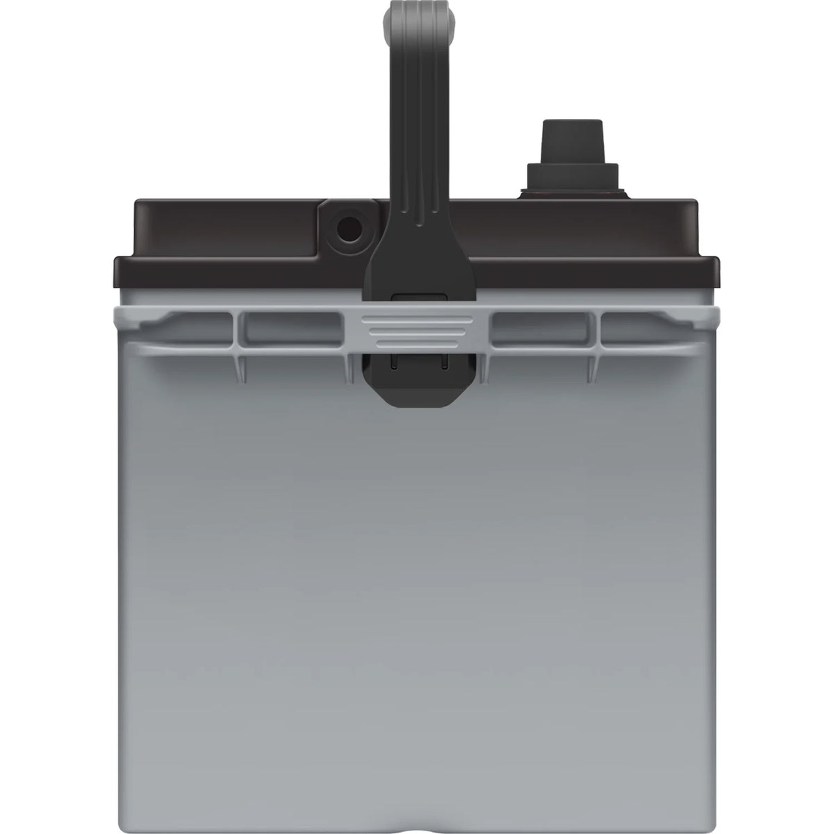 EverStart Platinum BOXED AGM Marine and RV Deep Cycle Battery Group Size 24M, 12 Volt 875 MCA