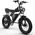 Electric Bike for Adults Ridstar, 20" Fat Tire Electric Motorcycle,1000W Electric Bike with Removable 48V/20Ah Battery E-Bike Shimano 7 Full Suspension Electric Bicycle