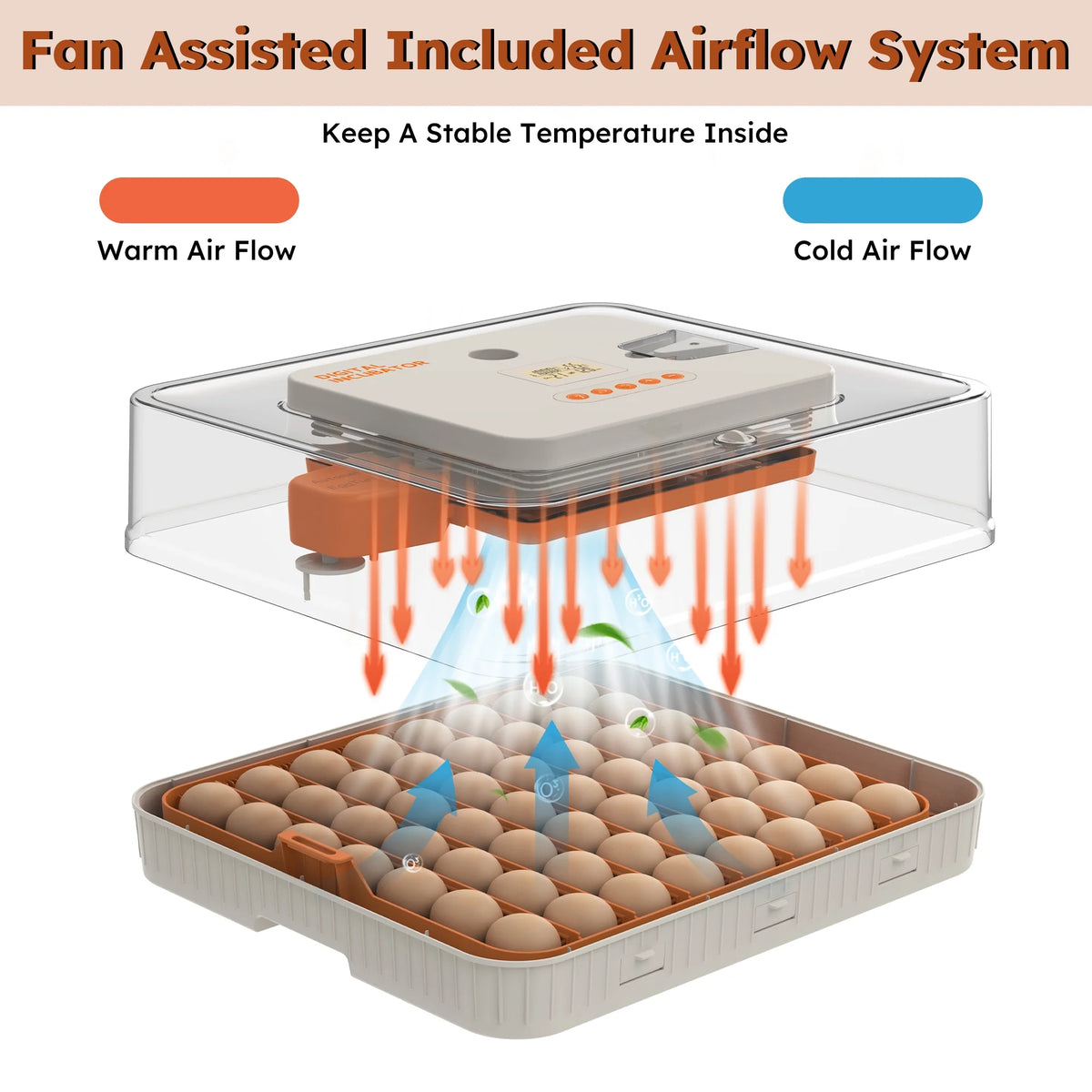 Montary 56 Egg Incubator: Auto Turning, Humidity Control & Water Refill for Chicken/Duck/Goose Eggs w/ Candler
