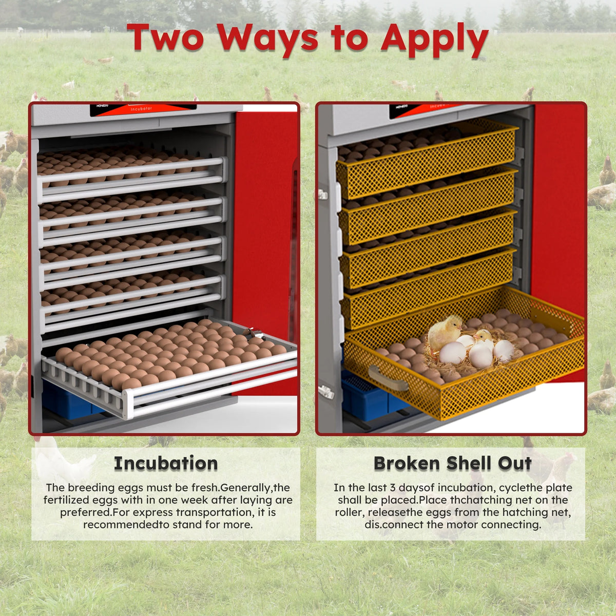 Montary 56 Egg Incubator: Auto Turning, Humidity Control & Water Refill for Chicken/Duck/Goose Eggs w/ Candler