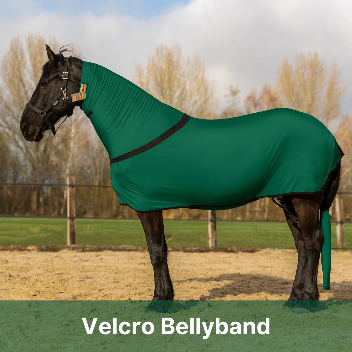 Premium Horse Full Body Slinky - Full Zipper & Faceless - Lycra Material - Available in 11 Colors