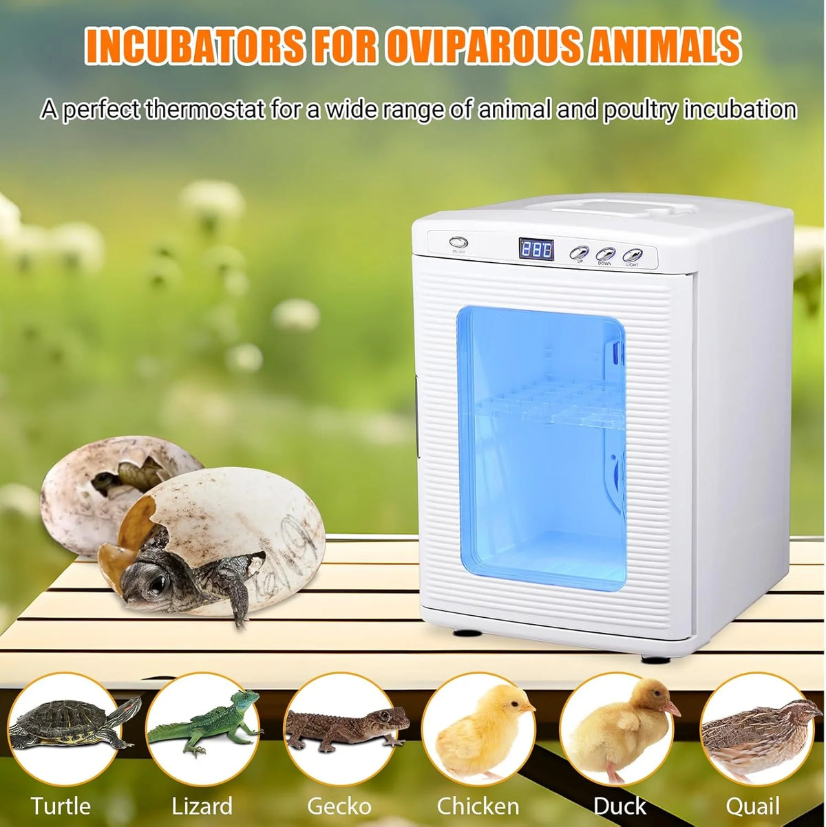 Garvee 25L Reptile Incubator for Hatching Eggs - Portable Scientific Laboratory Incubator, Temperature Controlled 10C-60C for Small Reptiles, Cooling and Heating Digital Incubator, 12V/110V Black