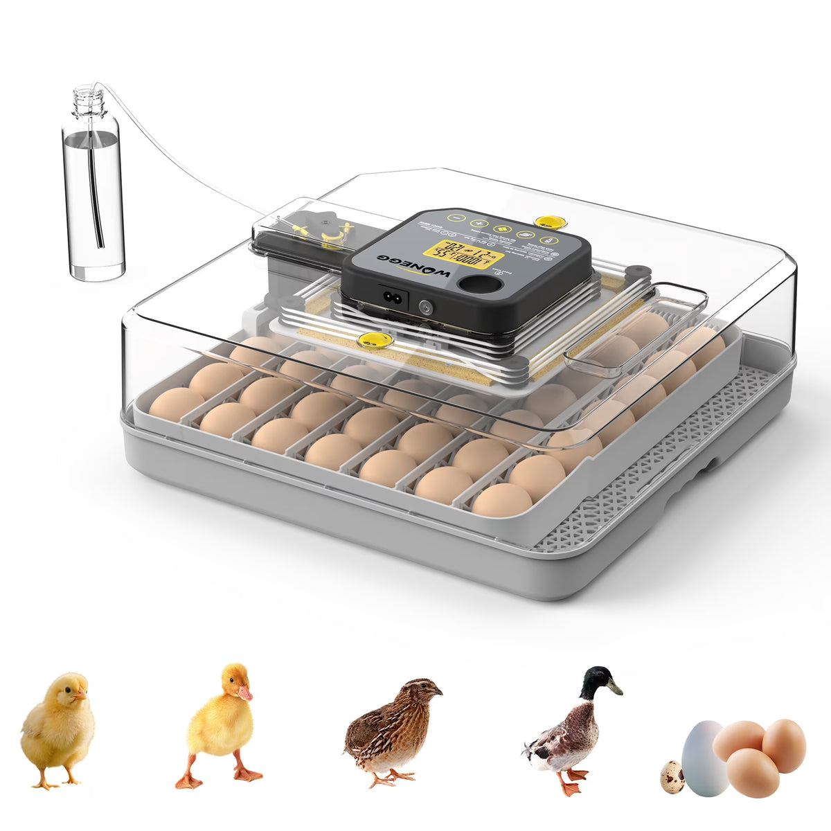 Montary 56 Egg Incubator: Auto Turning, Humidity Control & Water Refill for Chicken/Duck/Goose Eggs w/ Candler