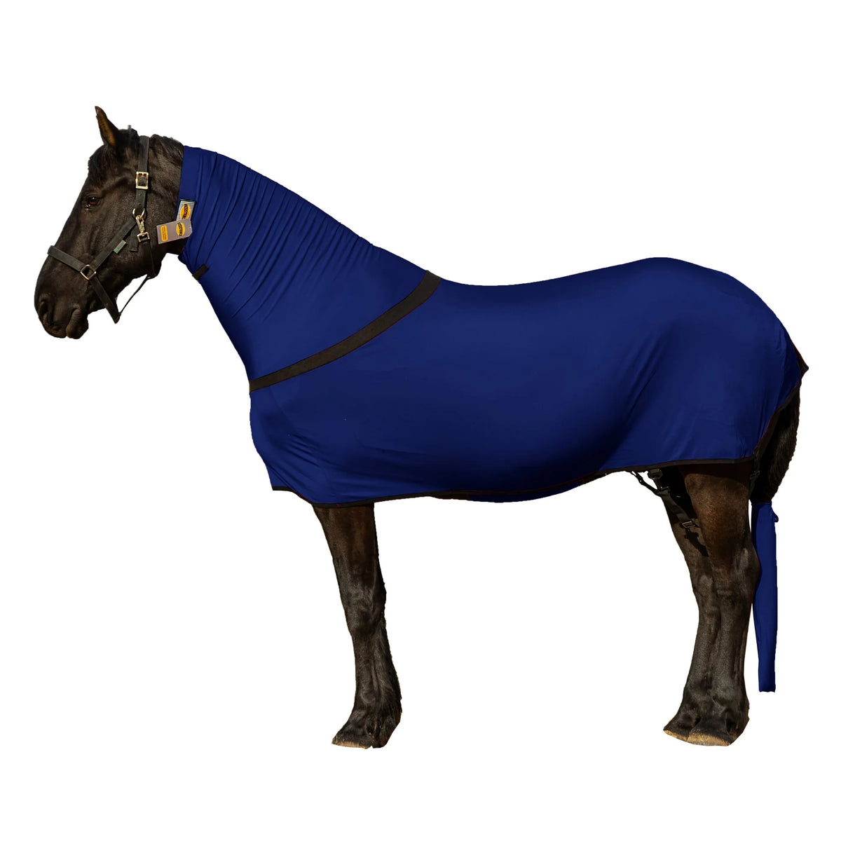 Premium Horse Full Body Slinky - Full Zipper & Faceless - Lycra Material - Available in 11 Colors
