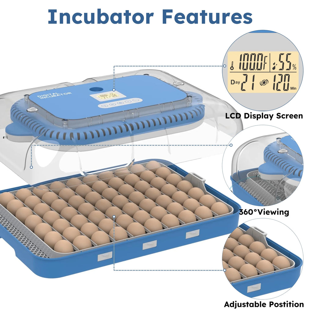 Montary 56 Egg Incubator: Auto Turning, Humidity Control & Water Refill for Chicken/Duck/Goose Eggs w/ Candler