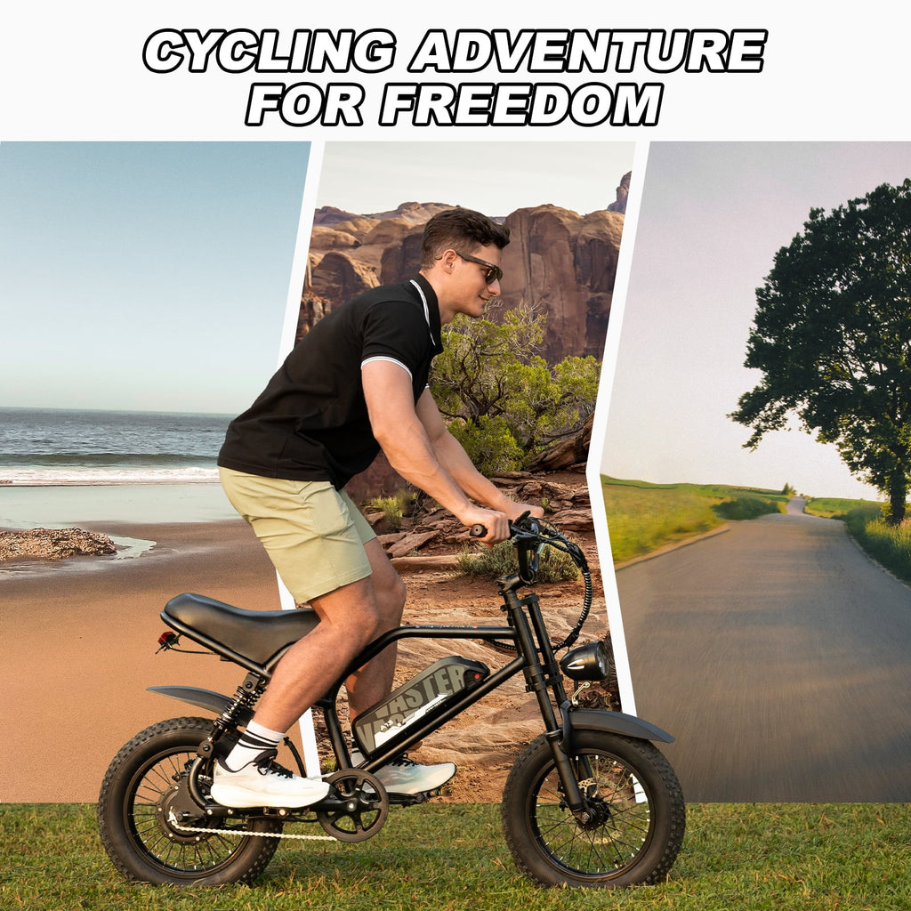 AVDL Electric Bike,16" Fat Tire Ebike,500W Motor,48V 12Ah Removable Battery,4x Suspension,38 Miles Pure Electric,55 Miles Pedal