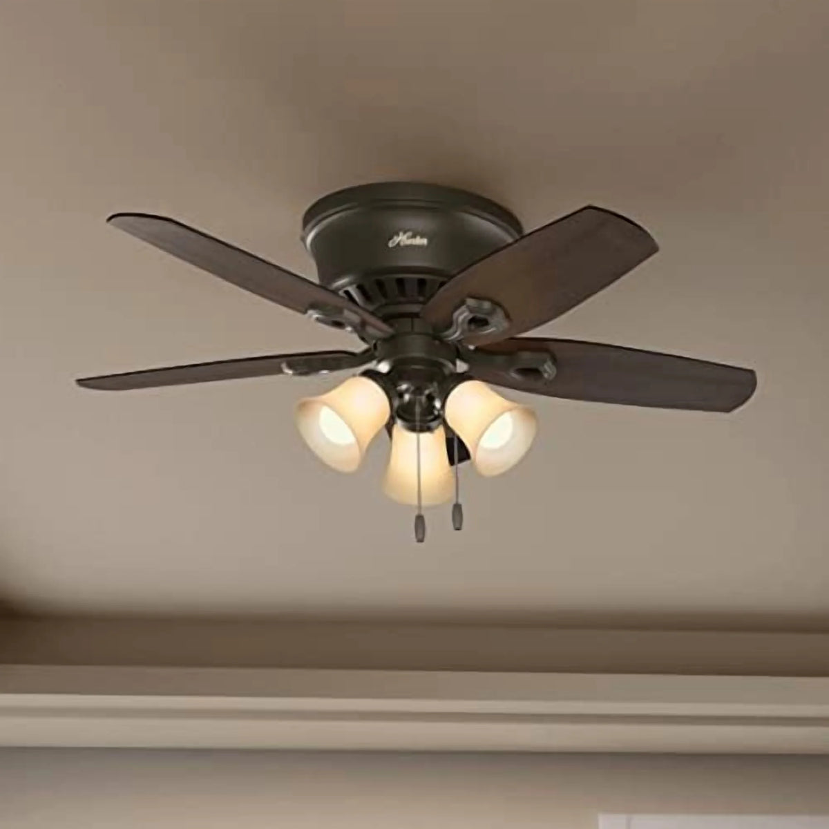 Hunter Fan Company, 51092, 42 inch Builder Brushed Nickel Low Profile Ceiling Fan with LED Light Kit and Pull Chain