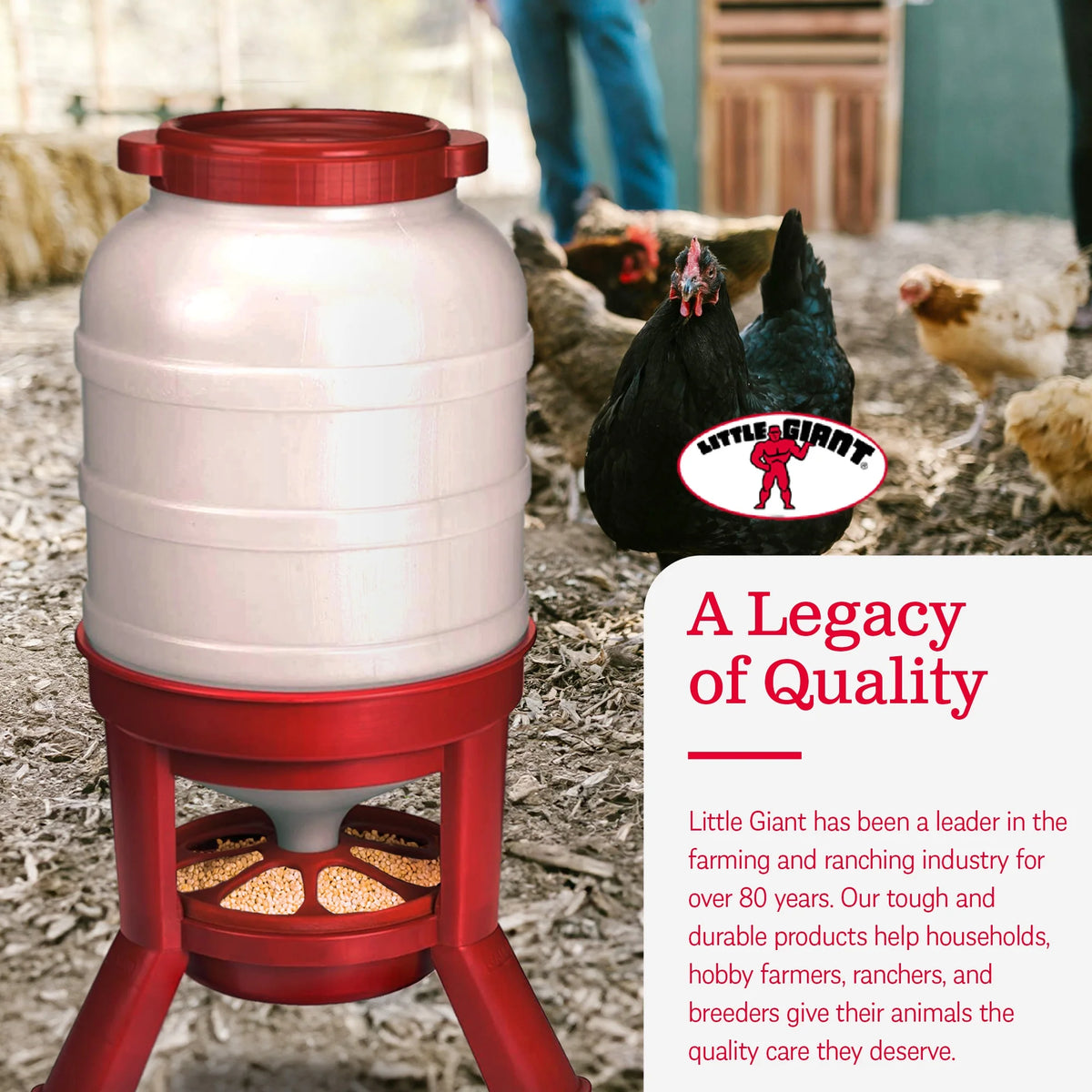 Little Giant Plastic Dome Poultry Feeder 60 Lbs.