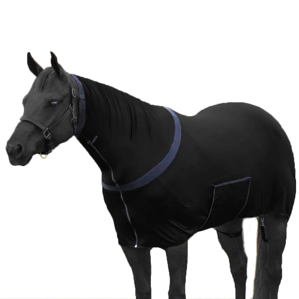 Premium Horse Full Body Slinky - Full Zipper & Faceless - Lycra Material - Available in 11 Colors