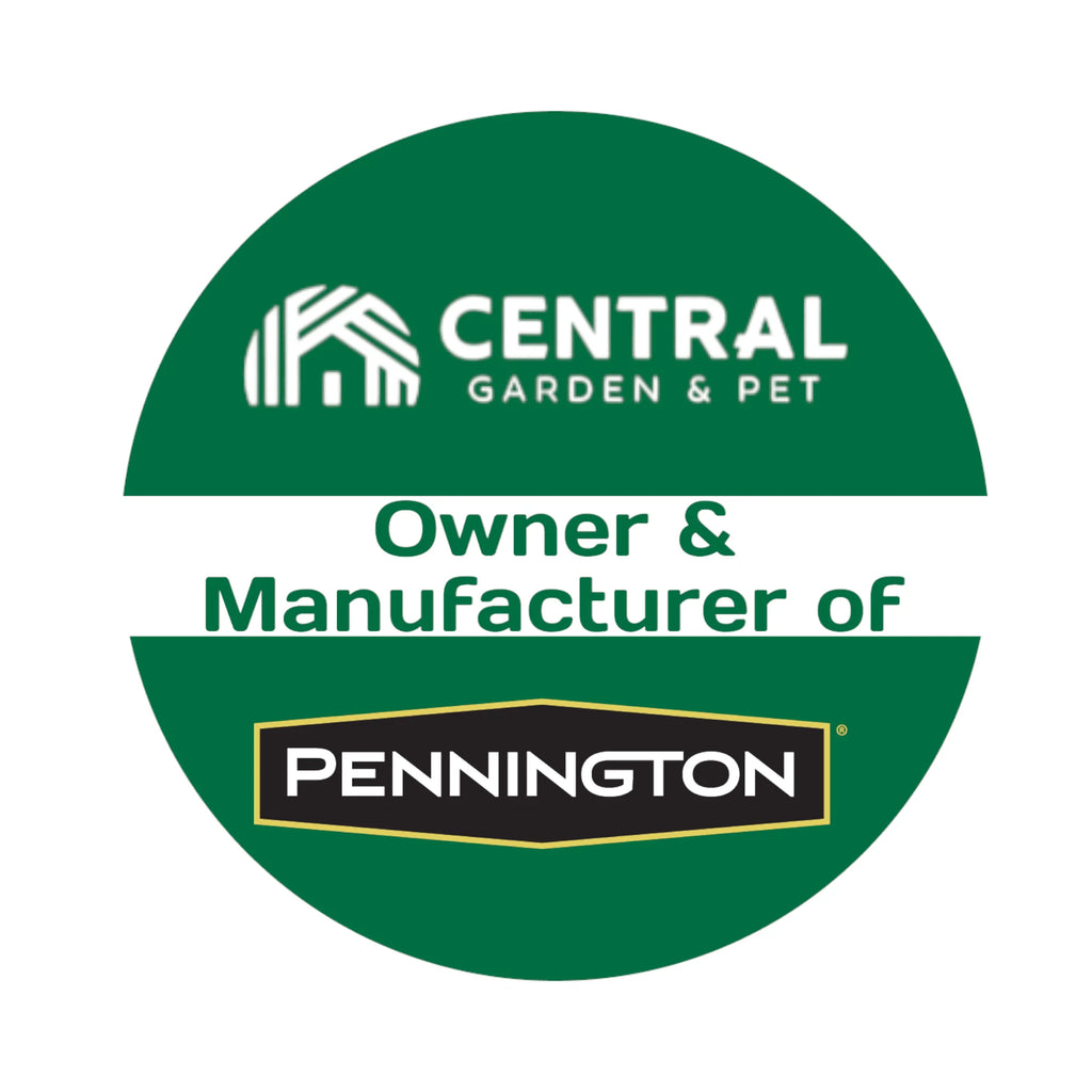 Pennington Kentucky 31 Tall Fescue Penkoted Grass Seed 50lb