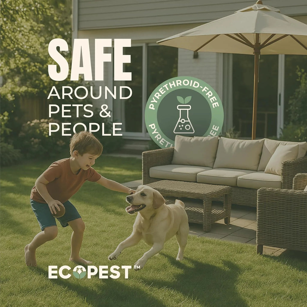 Mite Spray Natural Killer for Dust, Bird, Spider, Scabies & Other Mites | Bedding & Furniture-Safe | Treatment for Chickens, Poultry, Dogs, Cats, Reptiles & Other Pets | Indoor & Outdoor (1 Gallon)