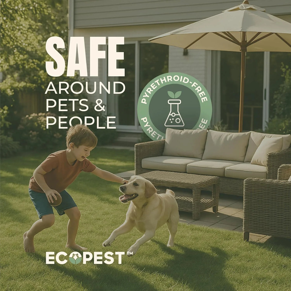 Mite Spray Natural Killer for Dust, Bird, Spider, Scabies & Other Mites | Bedding & Furniture-Safe | Treatment for Chickens, Poultry, Dogs, Cats, Reptiles & Other Pets | Indoor & Outdoor (1 Gallon)