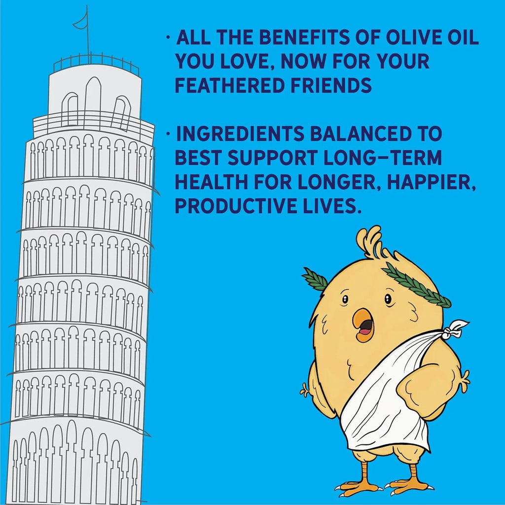 New Country Organics I Organic Olive Oil Layer Feed for Laying Hens | Corn-Free, Soy-Free | 17% Protein | High Omega-3 Chicken Feed | Organic Chicken Layer Food for Healthy Eggs & Hens | 40 lbs