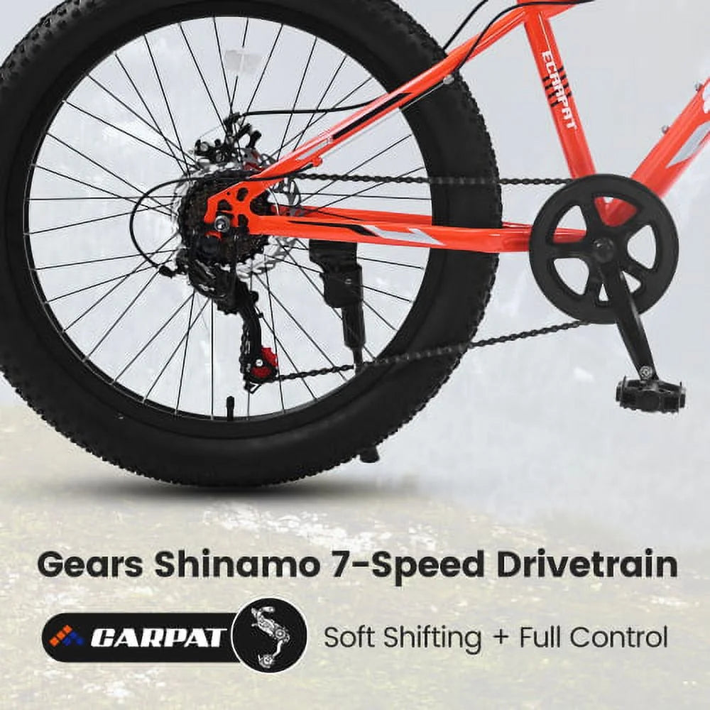 Ambifirner 26 inch City Bike Fat Tire Mountain Bike - Full Shimano 21 Speed - Dual Disc Brake - High-Carbon Steel Frame - Front Suspension for Gift