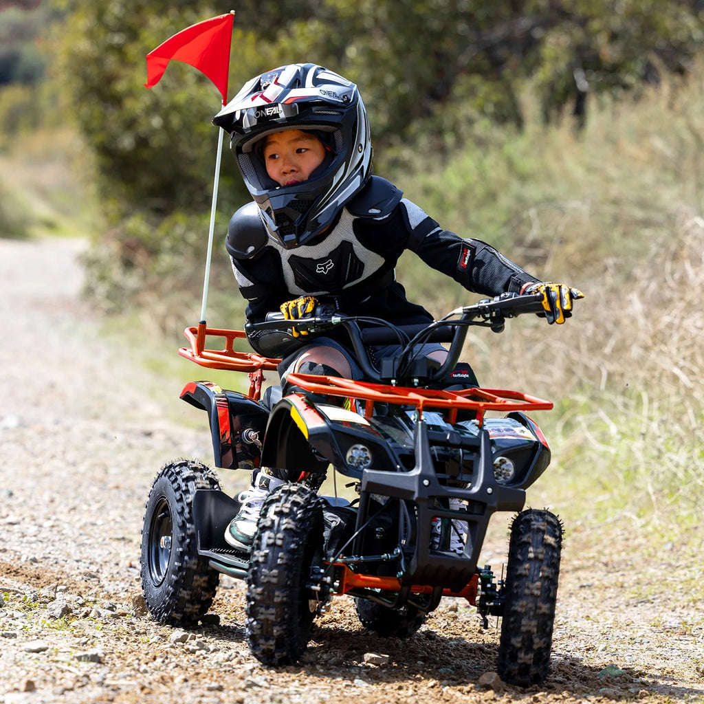 Aoemoe 500W 36V Battery-Powered Ride-On Off-Road 4-Wheeler 15 Mile Range, Flame